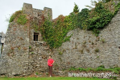 Mariellen Ward Castle Cork, Ireland The Gathering