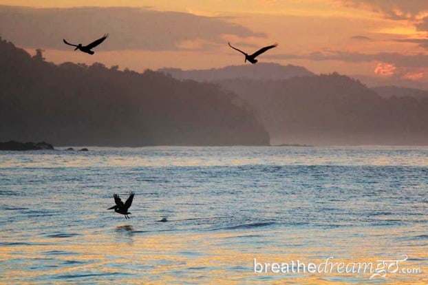 Sunrise and pelicans at Punta Islita, Costa RIca.