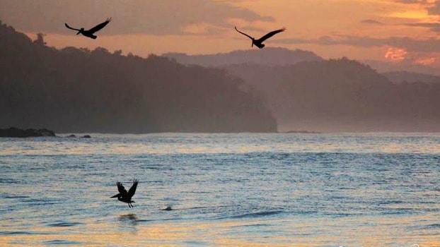 Sunrise and pelicans at Punta Islita, Costa RIca.