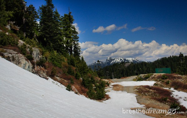 Grouse Mountain, Vancouver, British Columbia, Canada, Explore Canada, wildlife, birds, bears