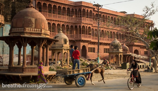 Mirabai, expedition, Kensington Tours, India, Krishna, temple, Vrindavan, poet, female, woman