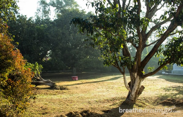 Aurovalley Asham, yoga, ashram, India, travel, sunrise, spirituality, peace, quiet