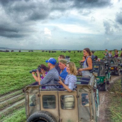 Elephant safari Sri Lanaka