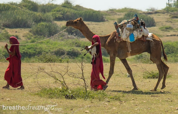 Mirabai, Krishna, India, travel, journey, woman, women, solo, Meera, Meerabai, music, Dwarka, Gujarat, temple, sun rise, ghats