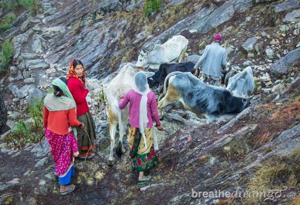 Uttarakhand, Kumaon, India, travel, Himalayas, trekking, Kosi Valley Retreat, walk to the Himalayas, mountains