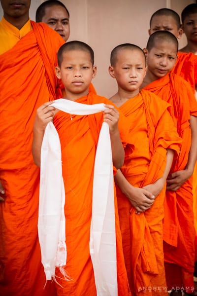 Buddhist Conclave 2014, India, Buddhism, Buddha, monks, Bodhgaya, Sarnath