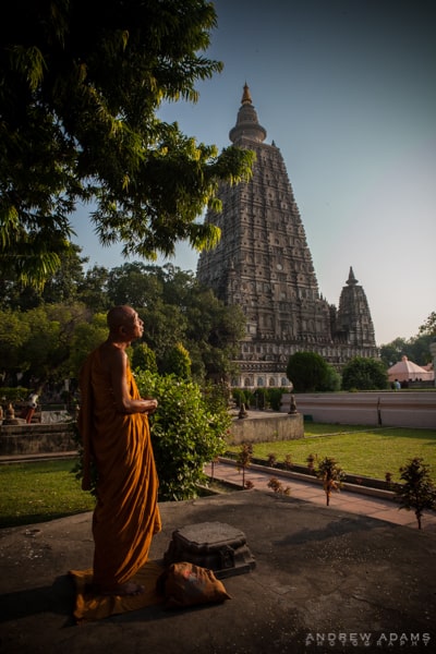 Buddhist Conclave 2014, India, Buddhism, Buddha, monks, Bodhgaya, Sarnath