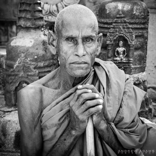 Buddhist Conclave 2014, India, Buddhism, Buddha, monks, Bodhgaya, Sarnath