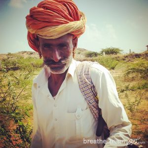 Lakshman Sagar, Rajasthan, India, hotel, resort, luxury, pool, bird watching, food, nature, birds, lake, desert