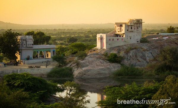 Lakshman Sagar, Rajasthan, India, hotel, resort, luxury, pool, bird watching, food, nature, birds, lake, desert