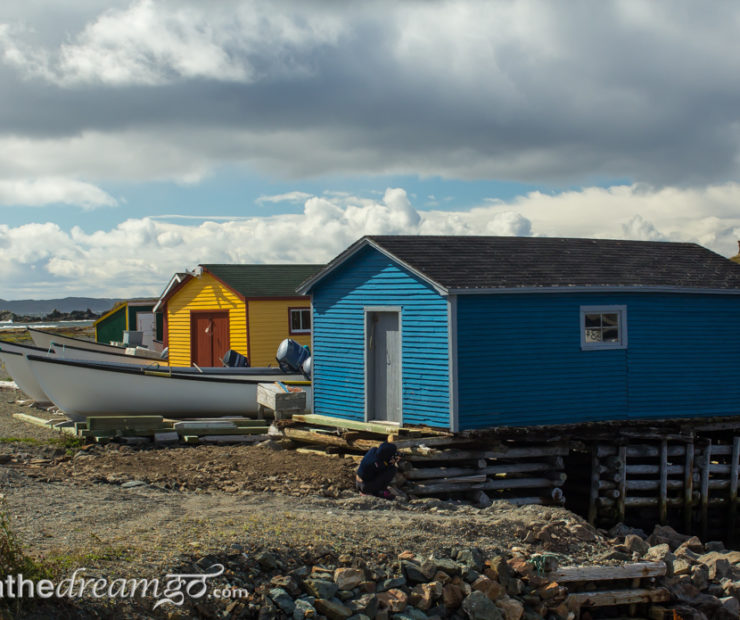 Learning to see in a Newfoundland outport
