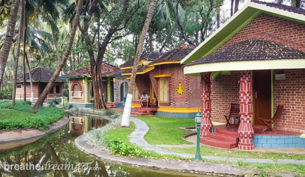 Kairali Ayurvedic Health Resort, Ayurveda, yoga, Kerala, Palakkad, wellness, retreat, resort, travel, journey, healing, medicine, herbal