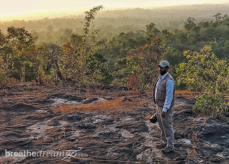 tiger, tigers, India, travel, tour, tourist, park, reserve, Pugdundee, safari, safaris, Kanha, Bandhavgarh, Pench, Madhya Pradesh