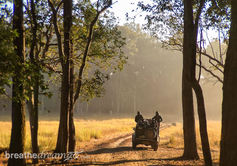 tiger, tigers, India, travel, tour, tourist, park, reserve, Pugdundee, safari, safaris, Kanha, Bandhavgarh, Pench, Madhya Pradesh, Kanha Earth Lodge 