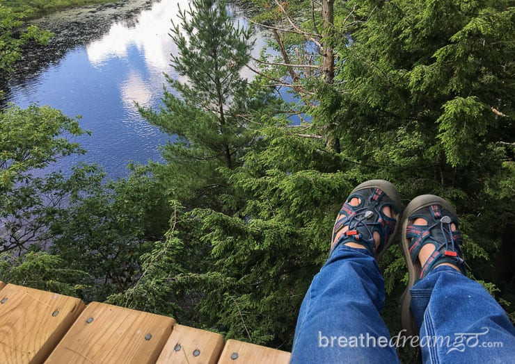 things to do in Ontario, Haliburton forest, Ontario getaways