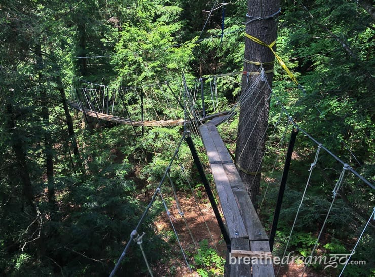 things to do in Ontario, Haliburton forest, Ontario getaways