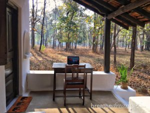 Guide To Kanha National Park & Tiger Reserve - Breathedreamgo