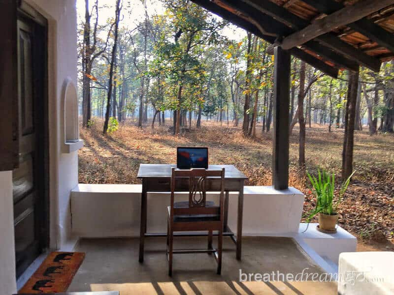 Kanha National Park, Khana hotels, national parks in mp, India, tiger, Madhya Pradesh