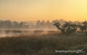 Guide To Kanha National Park & Tiger Reserve - Breathedreamgo