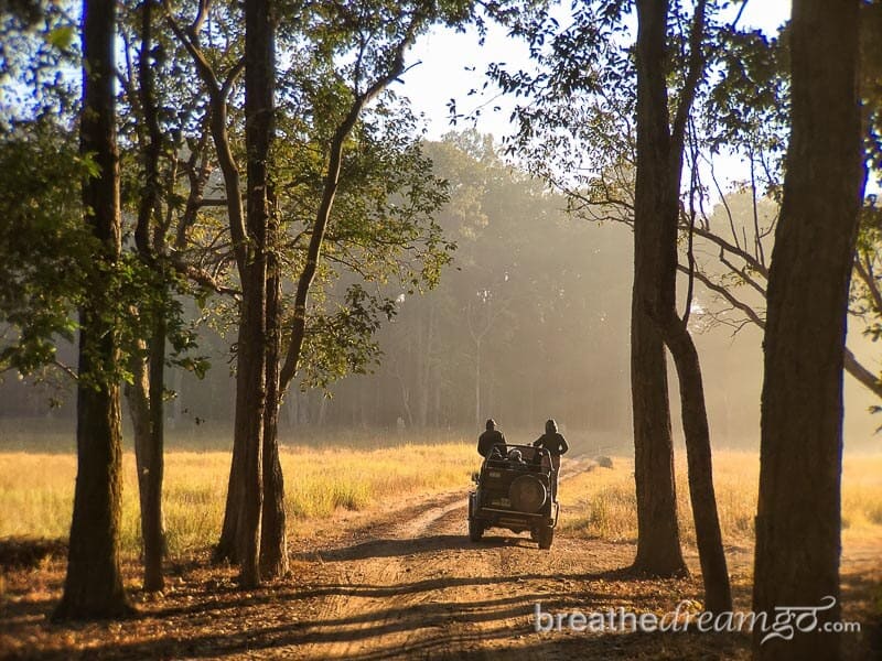 Responsible Tourism Guide to India - Breathedreamgo