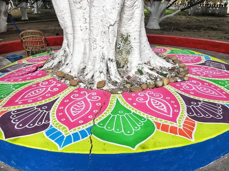 The beauty of a tree adorned with colourful decorations at Aurovalley Ashram, India for International Yoga Day #YogaDay #India #IncredibleIndia The beauty of a tree adorned with colourful decorations at Aurovalley Ashram, India for International Yoga Day #YogaDay #India #IncredibleIndia