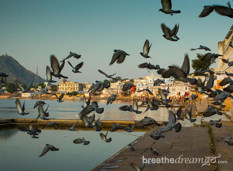 Pushkar is a peaceful, sacred town in Rajasthan, India popular with travellers and pilgrims alike. It's a great place for a first time visitor to India. Sunset and sunrise are the best times to enjoy the sublime beauty of the lake.