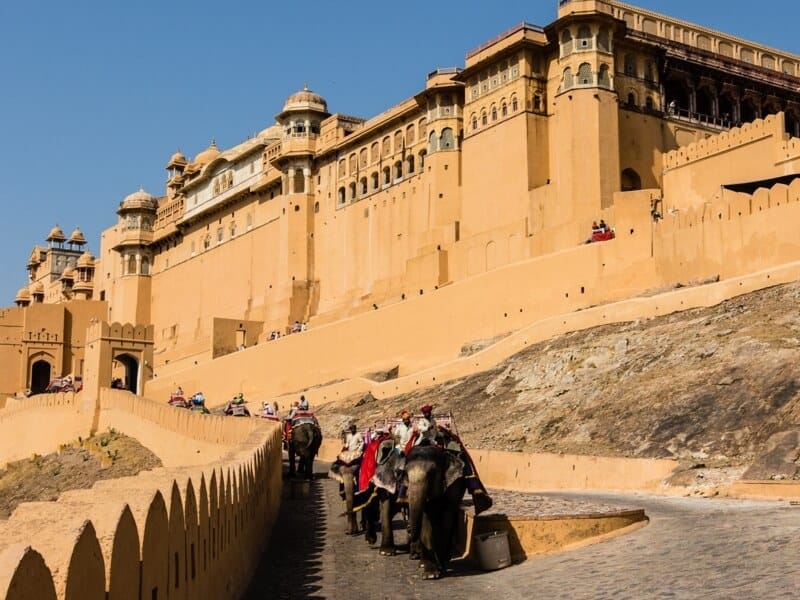 The elephant ride to Amber Fort, Jaipur, Rajasthan, India #WorldElephantDay #IndianElephants