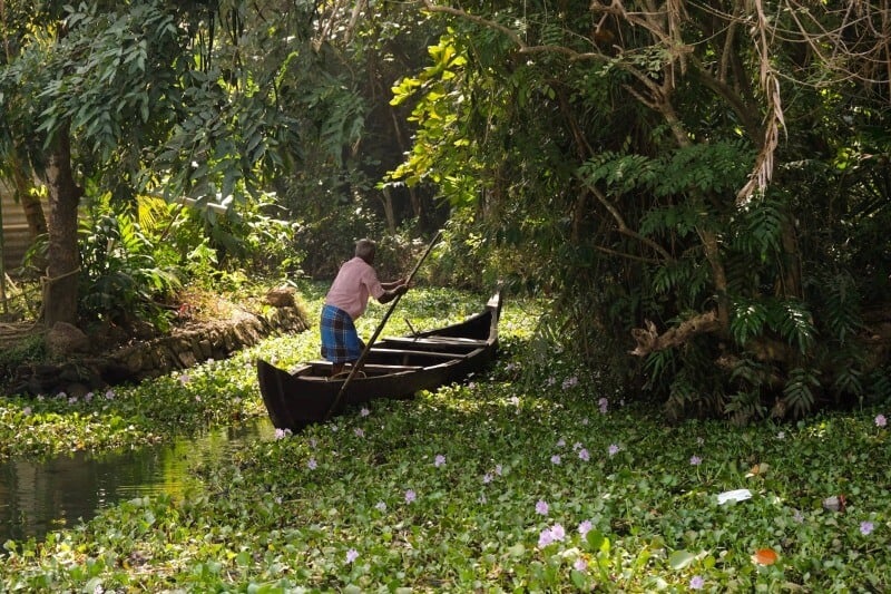 Fisherman on the Kumarakom Backwaters, Kerala