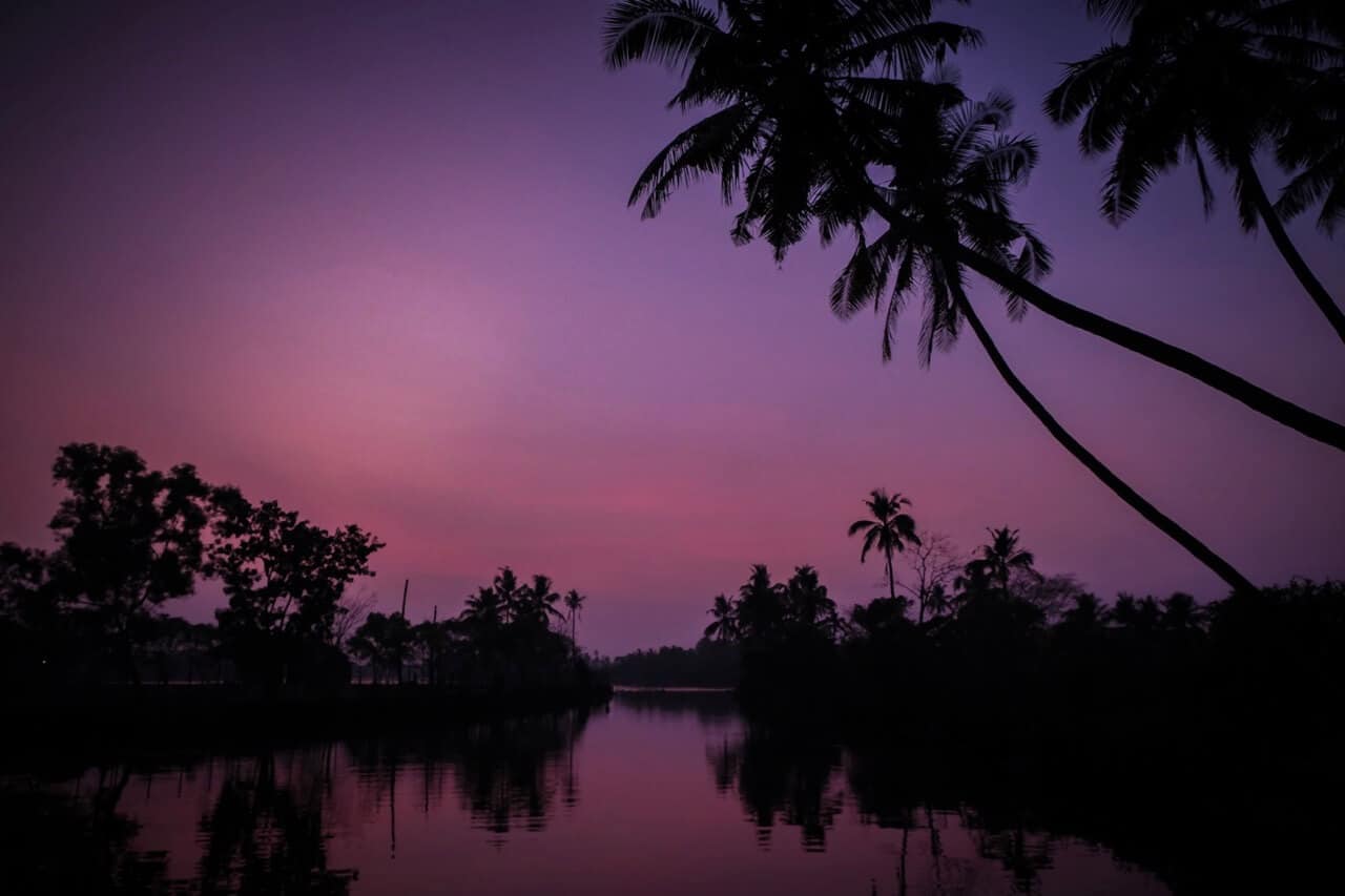 Evening on the Kumarakom Backwaters, Kerala.