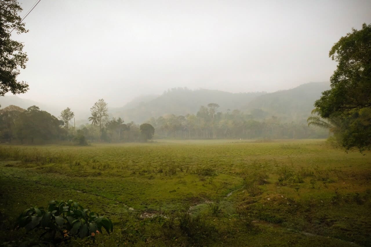 Periyar Tiger Reserve, Kerala