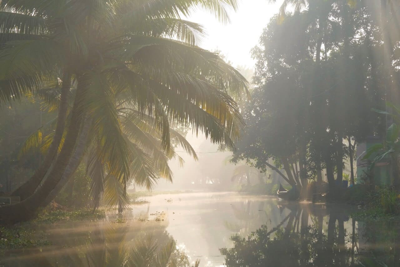 Kumarakom Backwaters is one of the best places to visit in Kerala