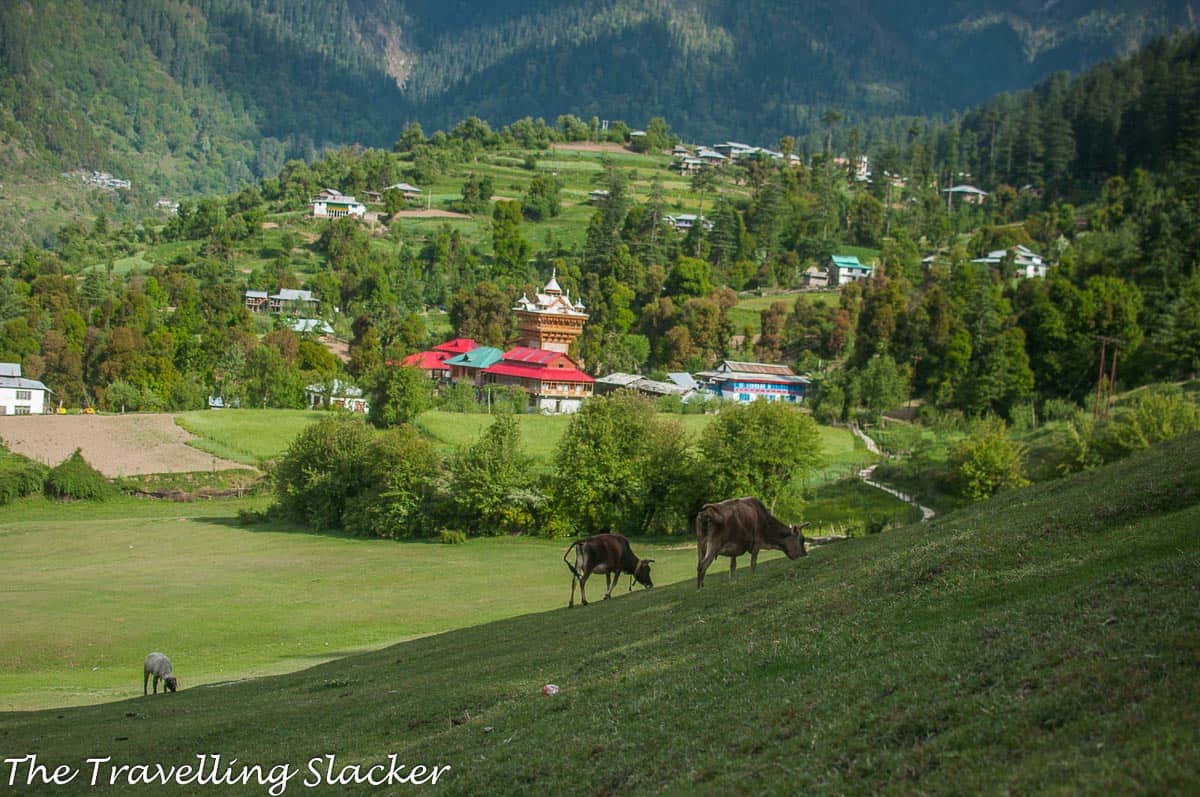 Great Himalayan National Park is one of the best offbeat places to visit in India