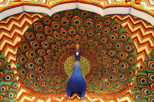 India national bird peacock