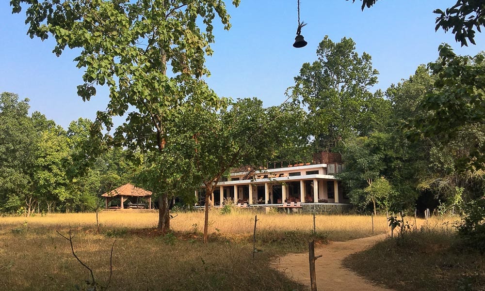 Lawn, trees and lodge building at Mahua Kothi, Bandhavgarh National Park Tiger Reserve