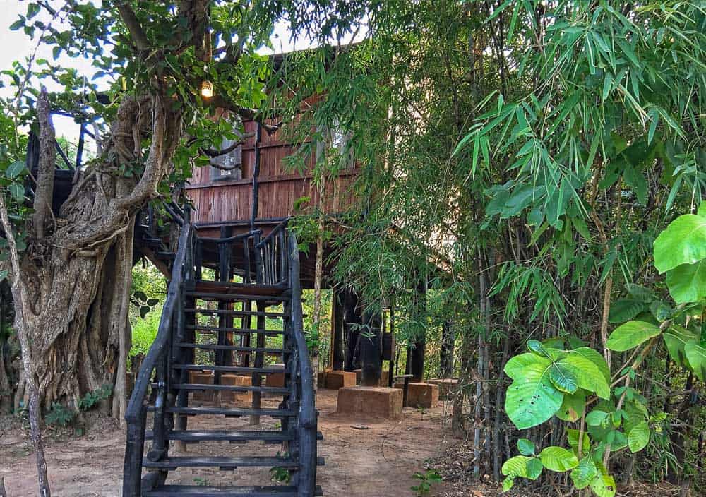 Tree house hotel at Bandhavgarh National Park Tiger Reserve