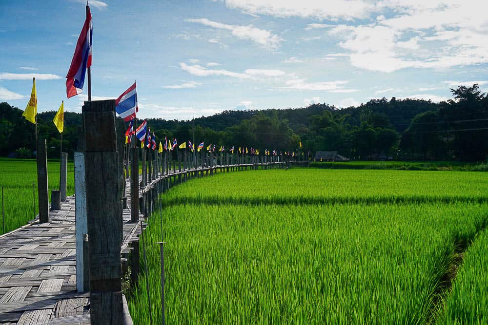 Rice oaddie in Thailand