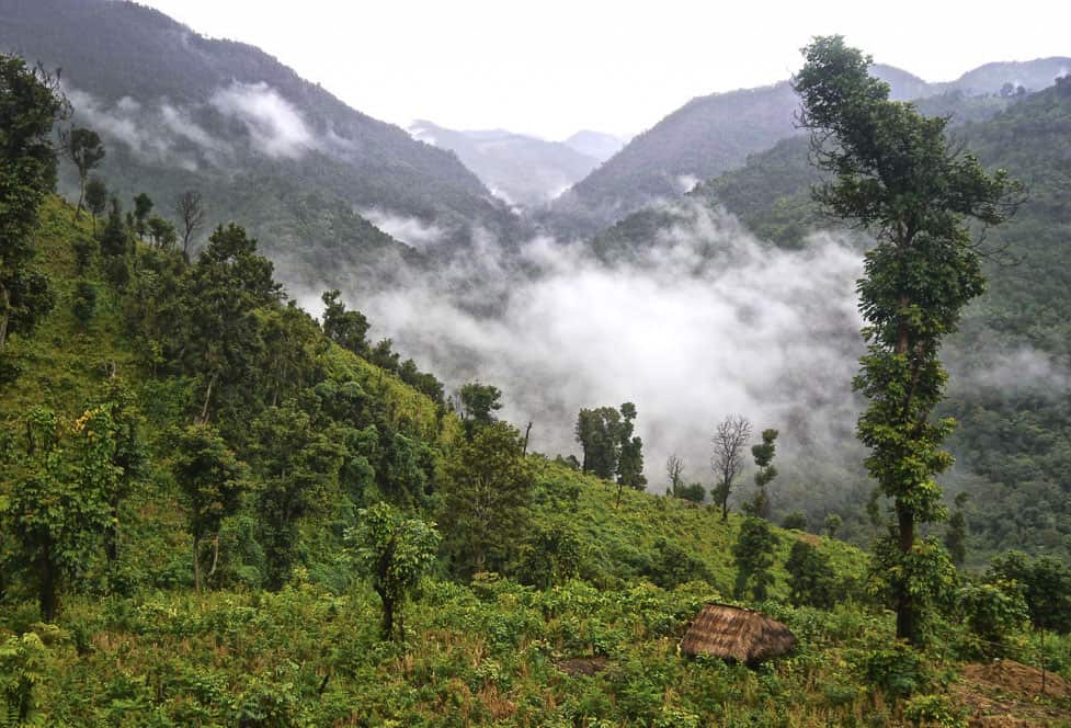 Misty forest and mountains in Thailand