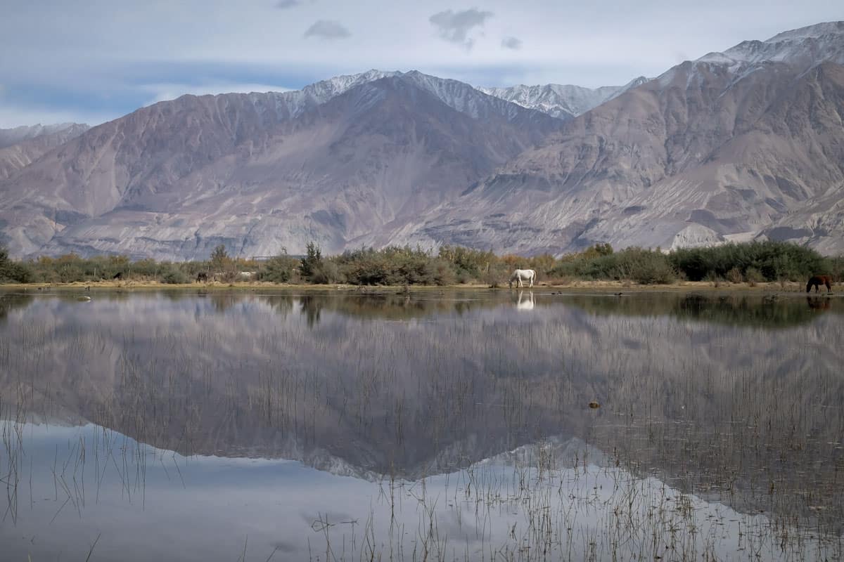 Lake and mountains with horse seen on Ladakh trip