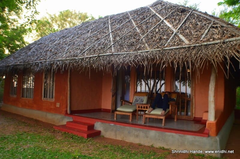 Thatch roof cottage at Evolve Back Kabini, one of the best hotels in India