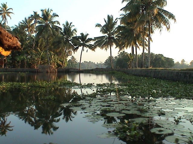 The backwaters of Kerala, at Kumarakom Lake Resort,