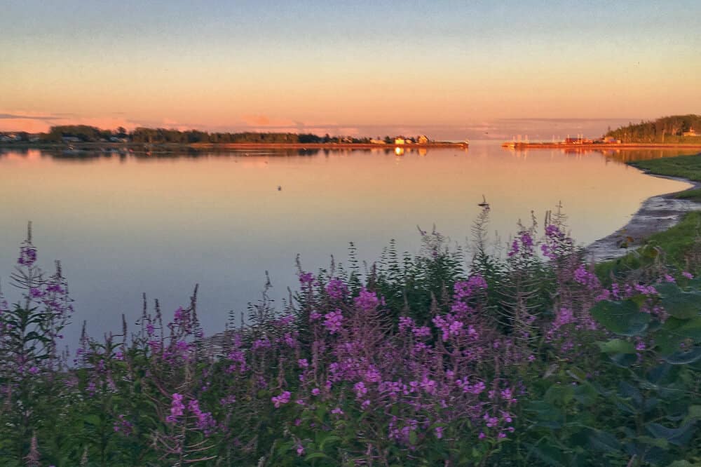 View of flowers, bay and sunset at from Inn at Bay Fortune, PEI, Canada