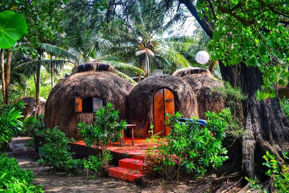 A best hotel in India with thatch covered dome huts