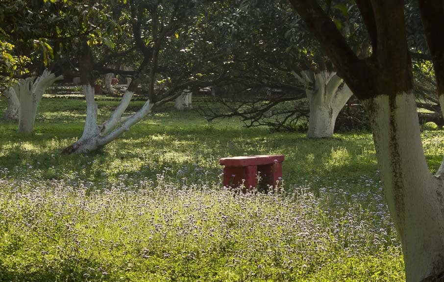 Bench in a meadow at Aurovalley Ashram