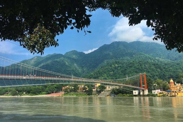 Trees In Rishikesh Rishikesh, India: Yoga Capital of the world and a favourite place