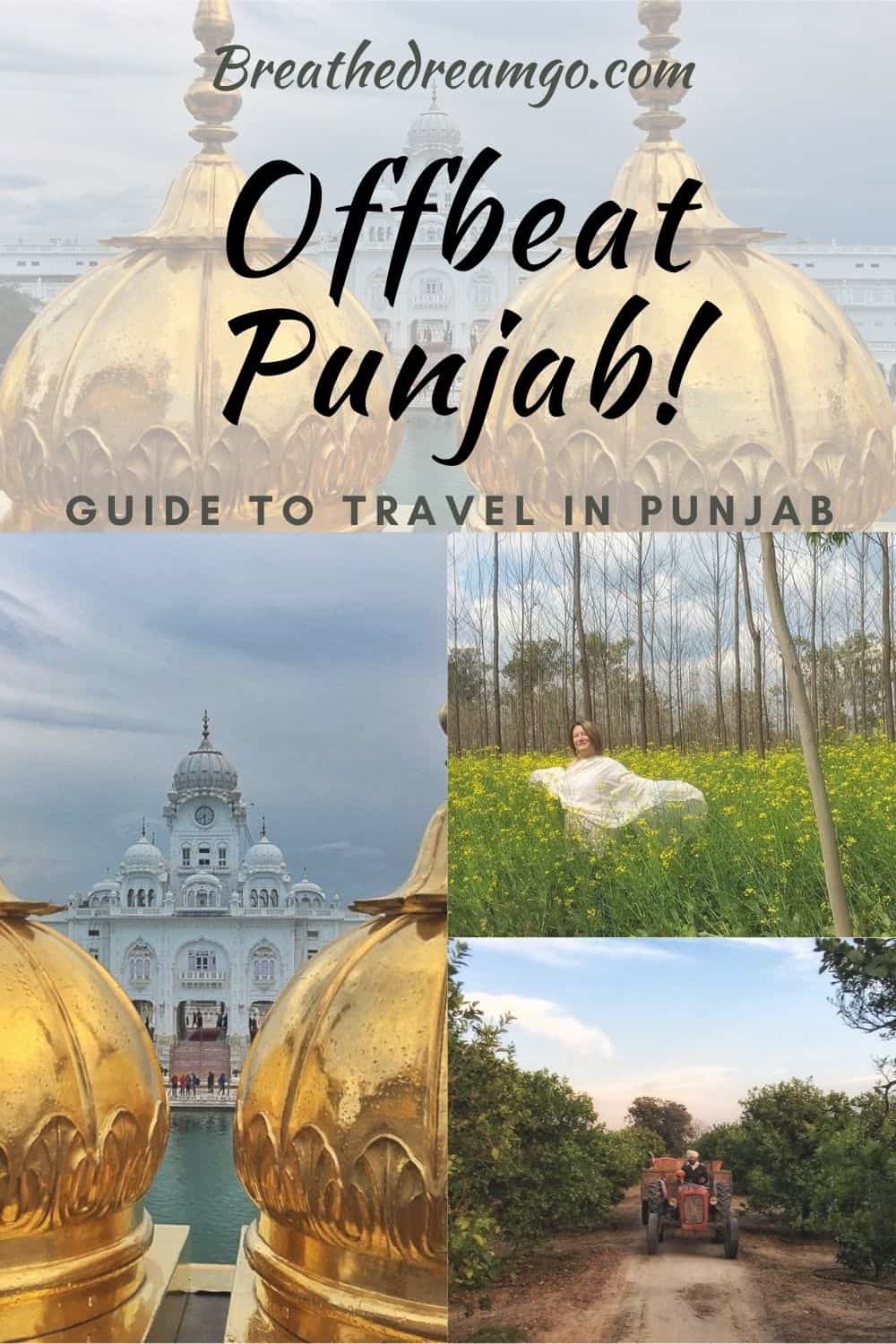 Offbeat Punjab Guide to golden temple, mustard fields, farms