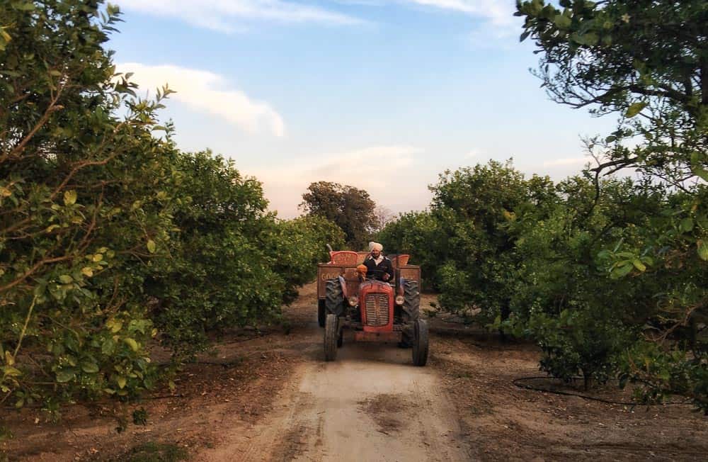 tractor in rural and offbeat Punjab