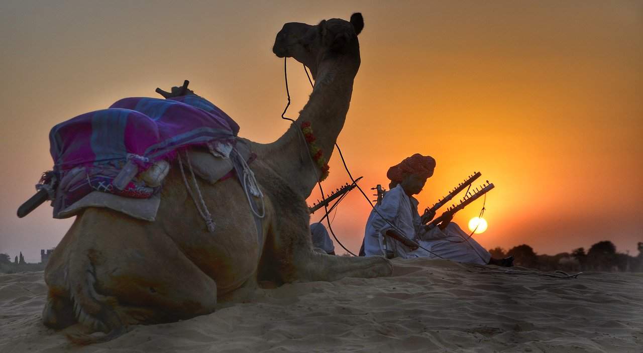 Rajasthan musician with camel in Jaisalmer desert at sunset