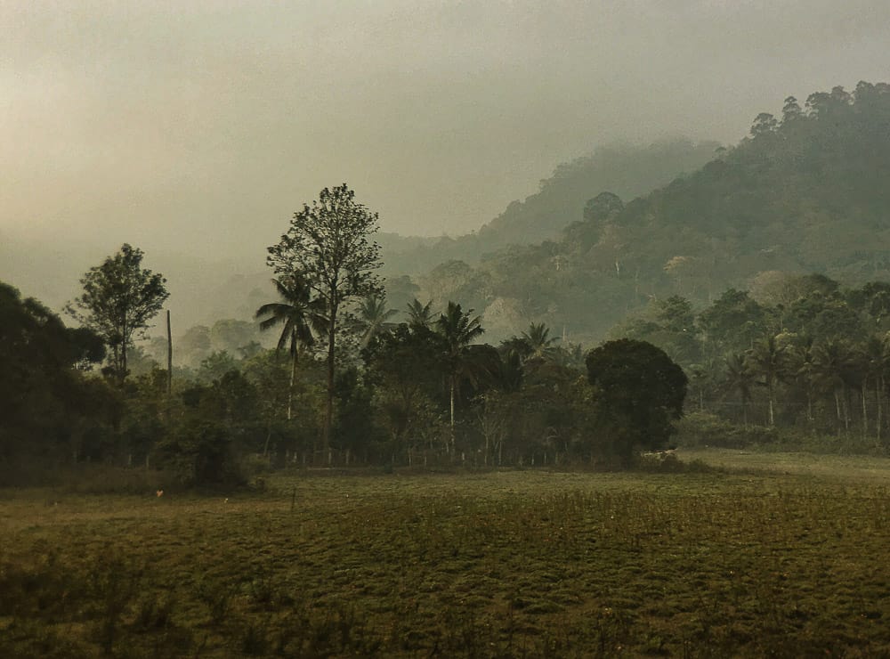 Periyar tiger reserve, Kerala