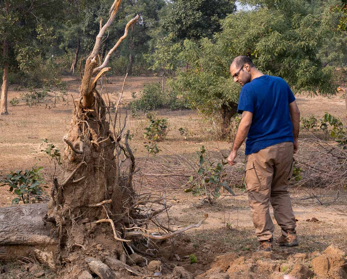 teacher at Naturalist Training Course