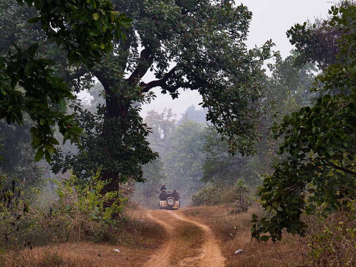 Satpura Tiger Reserve wildlife safari with jeep